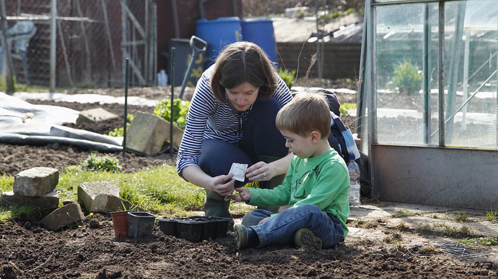 Get your garden ready for spring; planting seeds